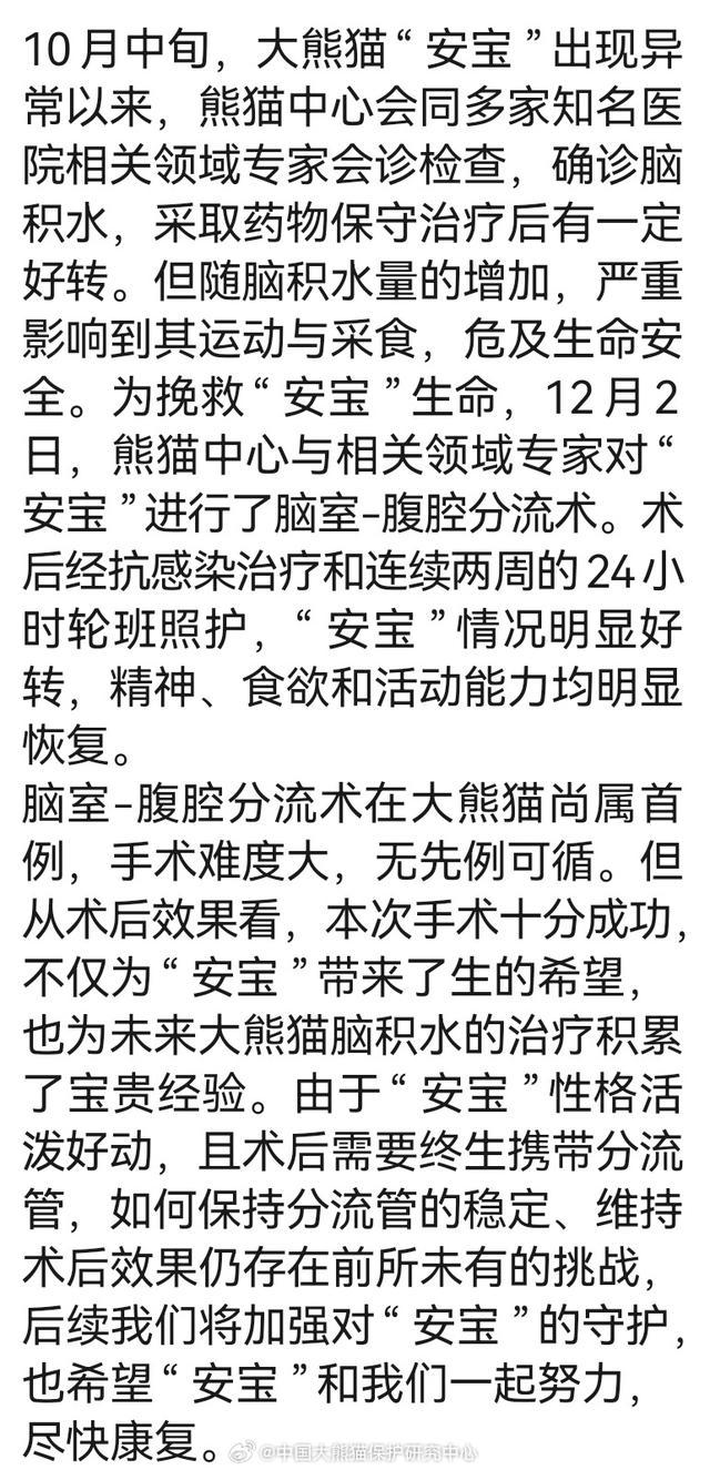 中国大熊猫保护研究中心回应大熊猫“安宝”出现异常：确诊脑积水，已进行手术情况明显好转