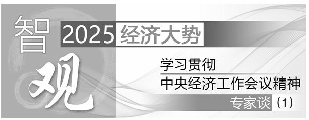 学习贯彻中央经济工作会议精神专家谈①丨赵长茂：必须统筹好有效市场和有为政府的关系