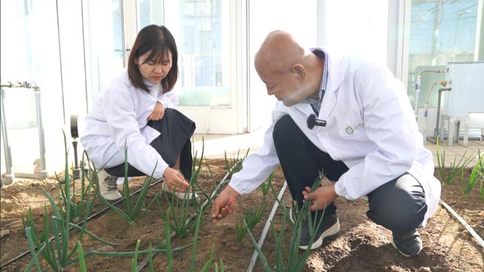 【节目单】《劳模纪录工程》丨洋葱育种的追梦人