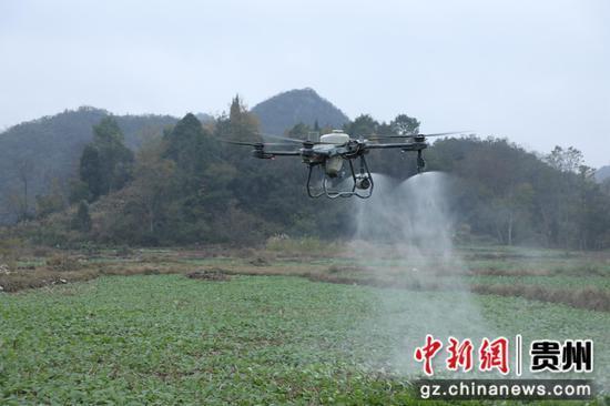 长顺：无人机飞防植保 为12万亩油菜丰收护航