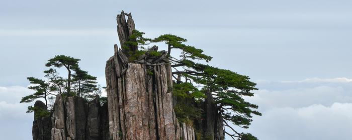 近5折“抄底”，黄山旅游拿下在建酒店