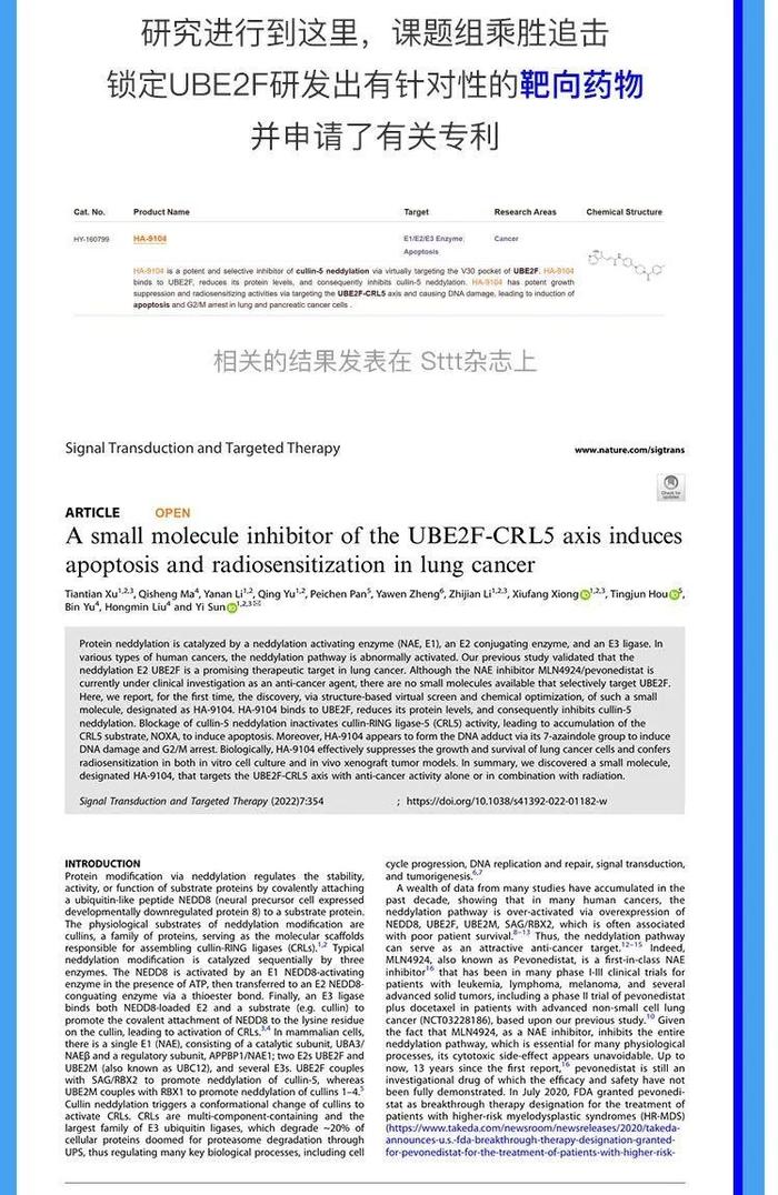 好消息！关于“癌中之王”，中国科学家有了治疗新突破！