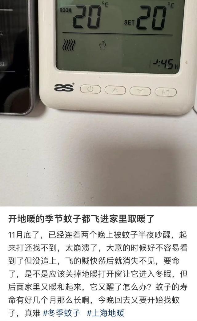 根本睡不着！杭州人抓狂：快0℃了，怎么家里还有！专家建议……