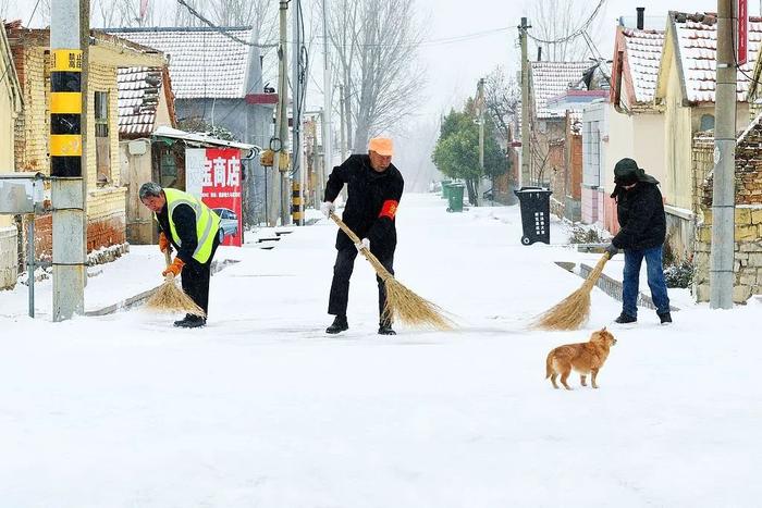 刚刚预报！青岛这4区市有雪！时间就在→