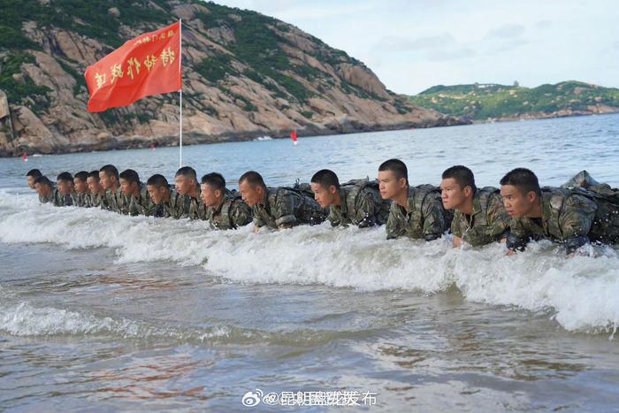 他们是莲花卫士也是定海神针