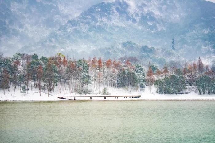 Winter Solstice 丨冬至福至，暖待春归