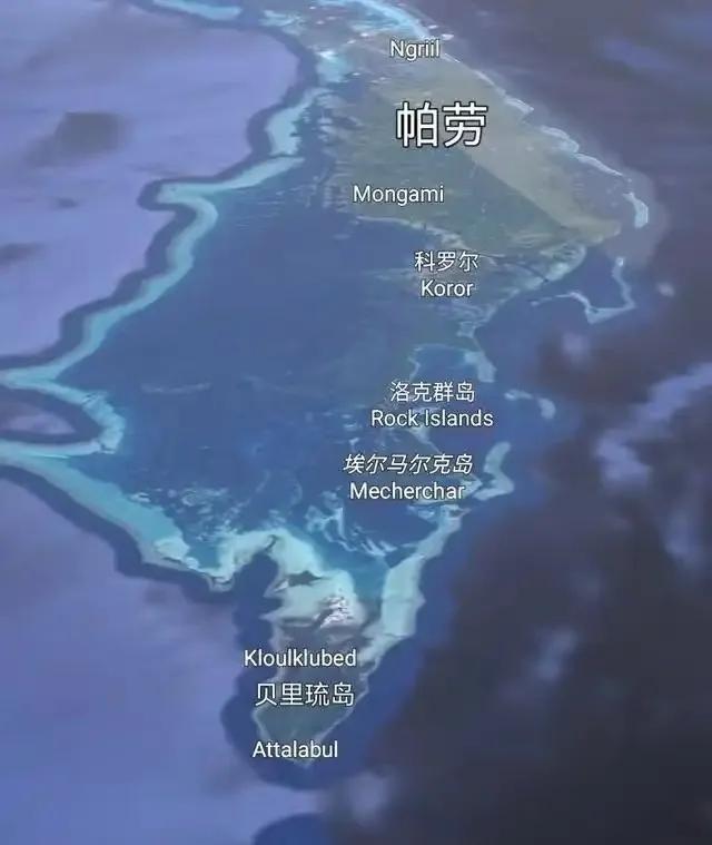 “低头发现,有7条鲨鱼环绕”,极限求生27小时!帕劳失联潜水者自述