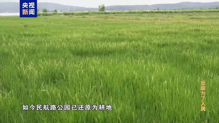 崔茂虎正事不干,天天打牌,出租车司机说的很难听