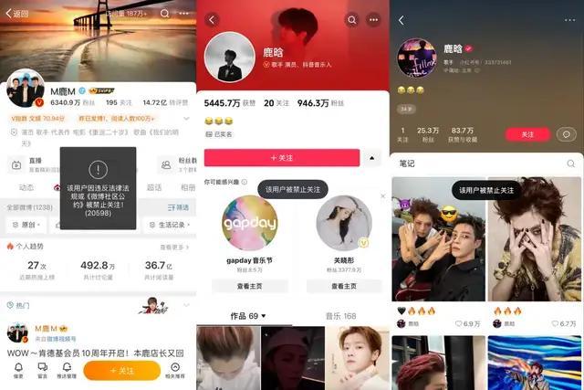 图源/平台截图