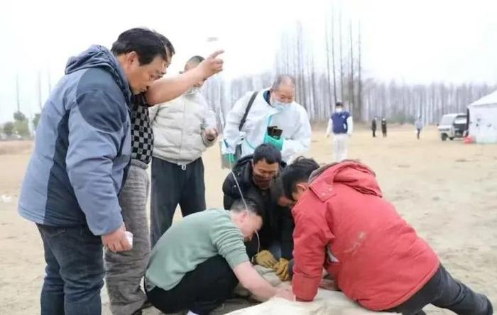 2月11日下午，救治“白龙”马。救人图源：仙桃日报