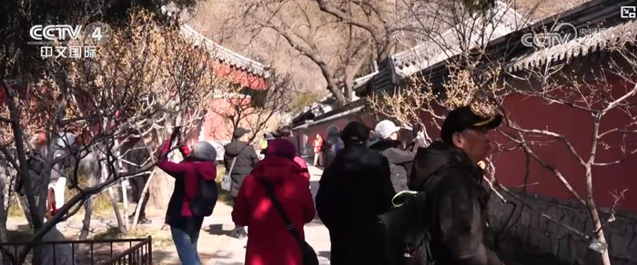 踏青赏花享春光“春日经济”活力旺