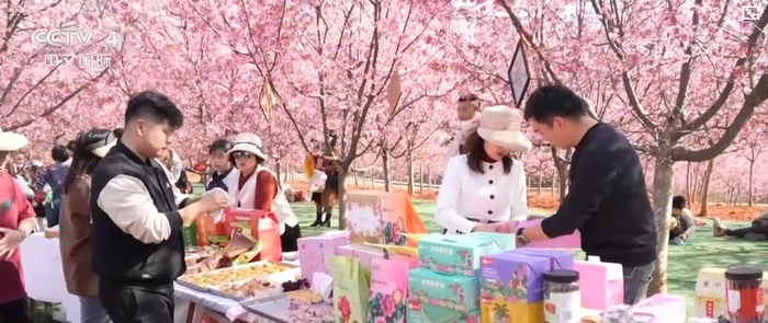 踏青赏花享春光“春日经济”活力旺