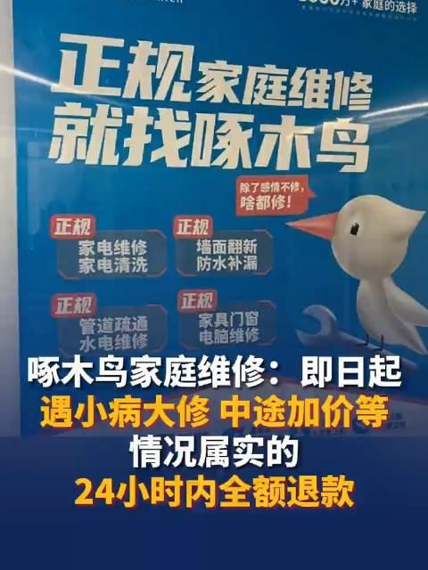 啄木鸟发布整改承诺书：啄木鸟将无条件全额退款__财经头条