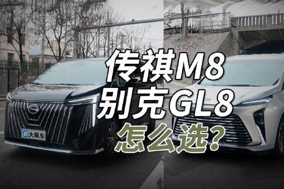 对于消费者来说，选择哪款车还要根据自己的实际需求和喜好