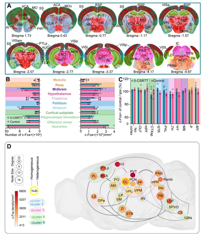 深入解析NBA录像中字母哥的战术跑位与团队配合细节