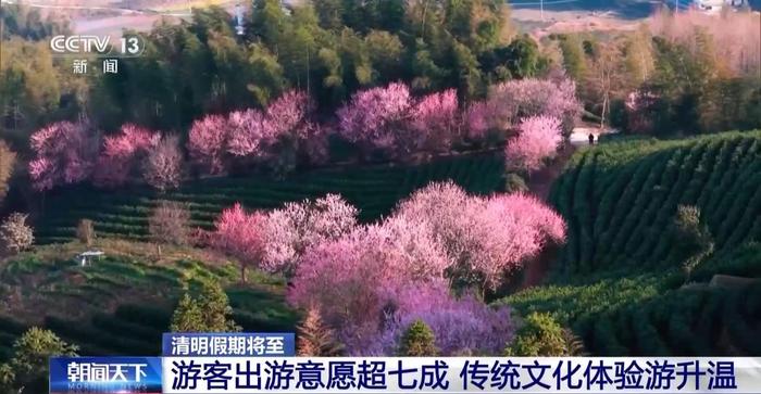 清明假期周边游火爆,赏花民俗体验热度攀升