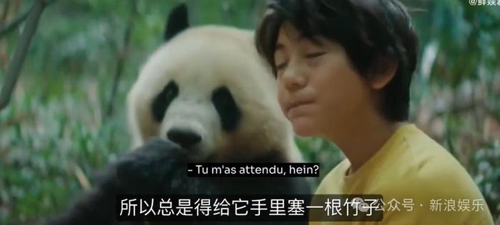 退圈了，但没完全退？