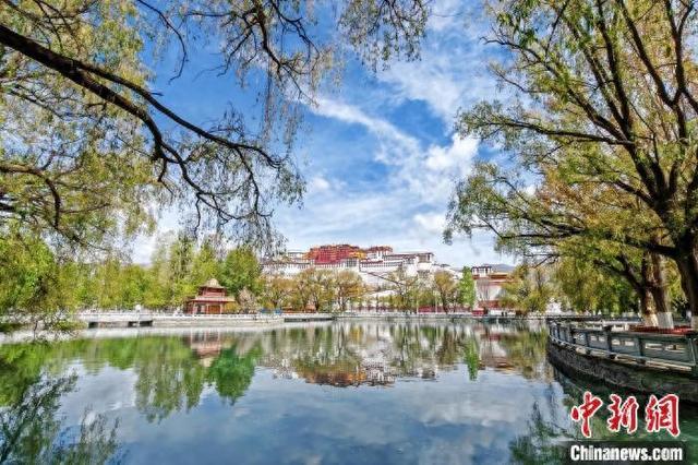 4月18日,拉萨布达拉宫广场人工湖倒影风光。 中新社记者 江飞波 摄