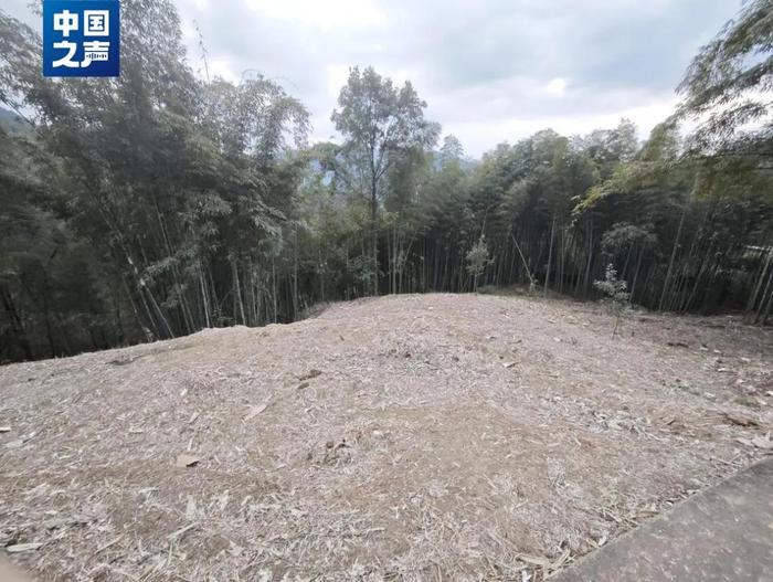 已整改地撂荒现状