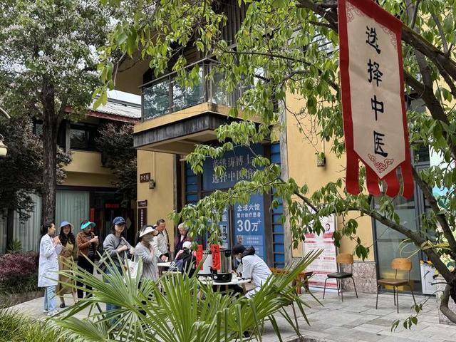 依靠艺术家工作室、中医馆、客栈等,阳光100雪山艺术村正在打造国际艺术疗愈村。中青报·中青网记者 张文凌/摄