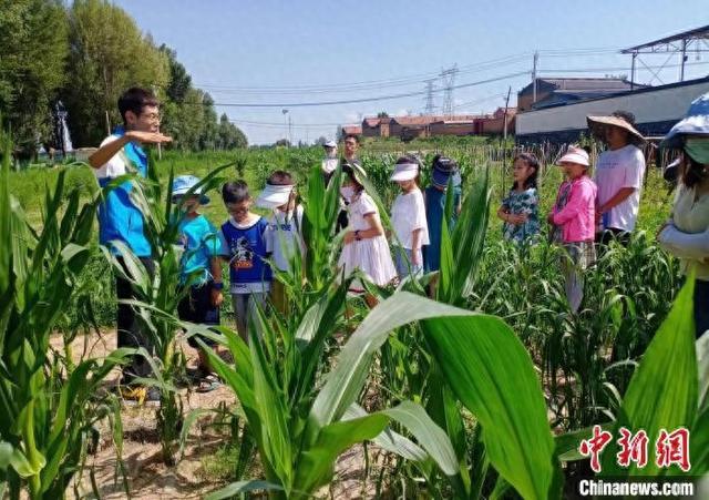 金家湾村通过“农业+旅游”“农业+研学”等模式,开发农村文化特色产品。 大同市新闻中心供图