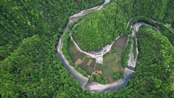 这是4月21日在陇南市康县阳坝镇拍摄的茶园(无人机照片)。