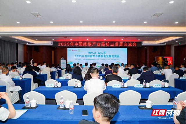 玩具产业发展，玩具产业发展对技术的要求，这都可以？，