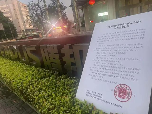 腾邦控股董事长钟百胜突然被执行 曾是300亿A股公司实控人(图2)