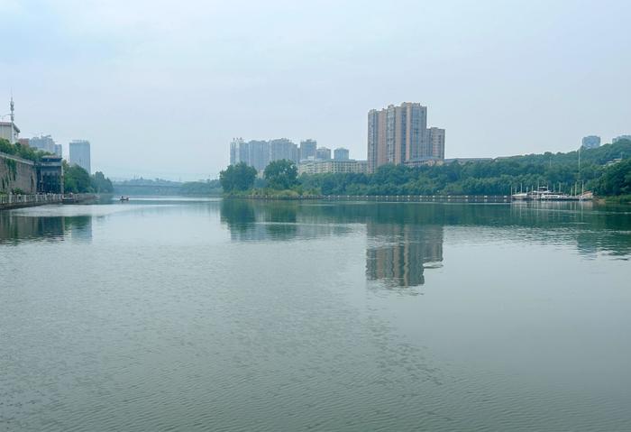 河中现死鱼,怀化市委书记现场察看