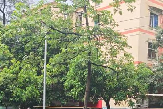 小鹏P7撞击护栏事件引关注