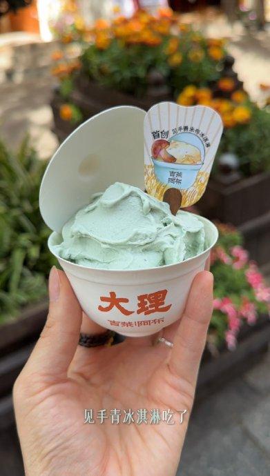 宋茜是美食雷达吧！@宋茜 的旅行vlog=大理美食地图！