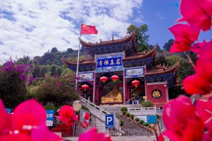 “‘宜’路花开 良时美景”三角梅主题摄影展(不看后悔)