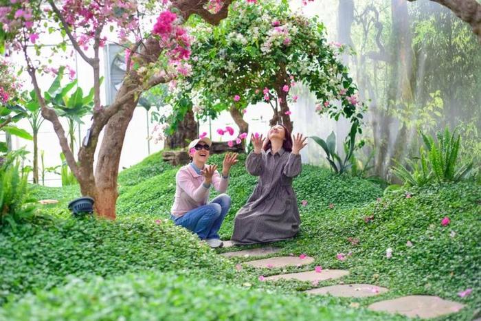 “‘宜’路花开 良时美景”三角梅主题摄影展(不看后悔)
