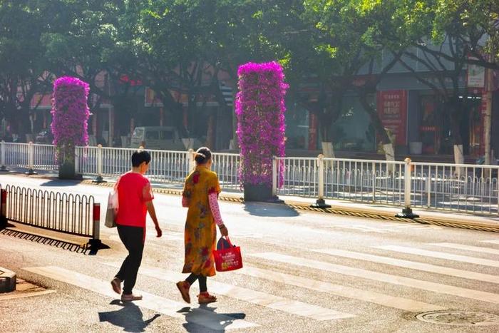 “‘宜’路花开 良时美景”三角梅主题摄影展(不看后悔)