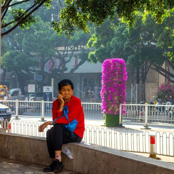 “‘宜’路花开 良时美景”三角梅主题摄影展(不看后悔)