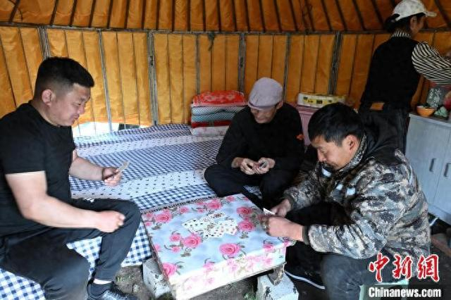 内蒙古扎鲁特旗草原的夏牧场生活_手机新浪网