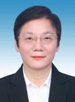 海南省省长、副省长、秘书长最新分工