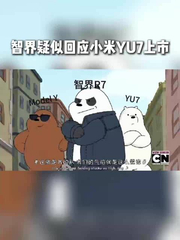 智界全系补贴最高6万元，与小米YU7同场竞争Model Y