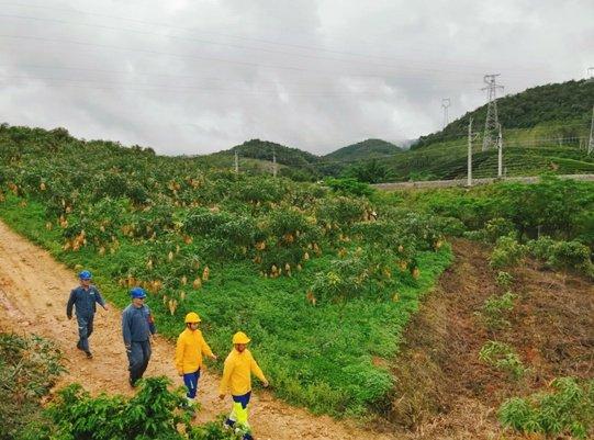 万万没想到（电力运维管理平台）电力运维服务公司是做什么的，创新电力运维模式 守护“钢铁丝路”，自动化运维，