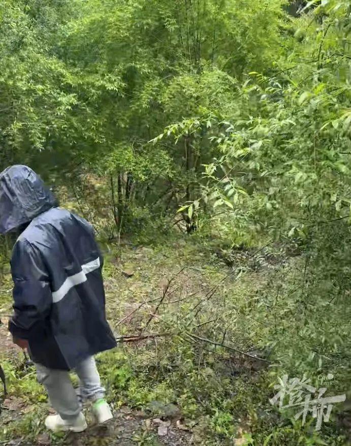 2死5失踪!江苏三对母女包车游坠崖落水,急寻事故目击者