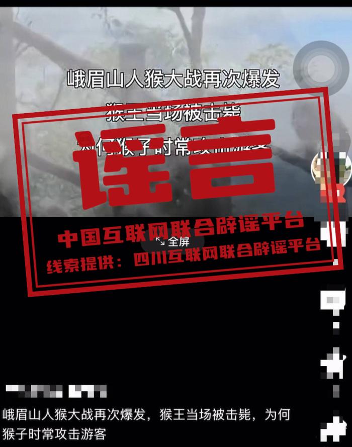 今日辟谣(2025年7月9日)