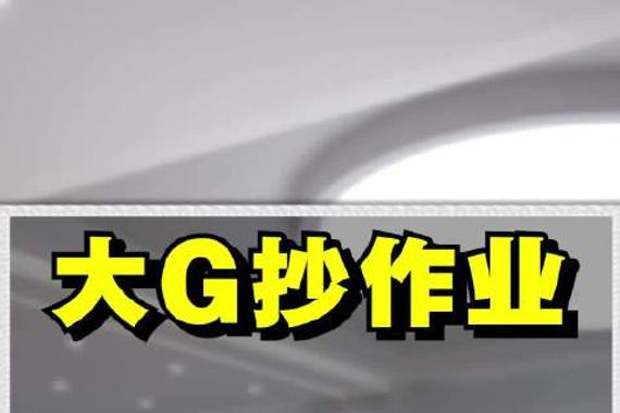 G450d熊猫版G63改装指南，完美复刻需多少费用