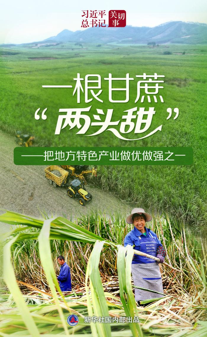 习近平总书记关切事|一根甘蔗“两头甜”——把地方特色产业做优做强之一