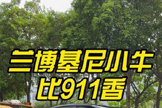 兰博基尼小牛不比保时捷911香？二手车检测鉴定