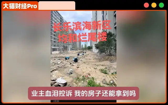 纸糊的2500亿巨头老板去了日本