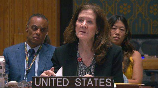 美国代理常驻联合国代表多萝西·谢伊 视频截图