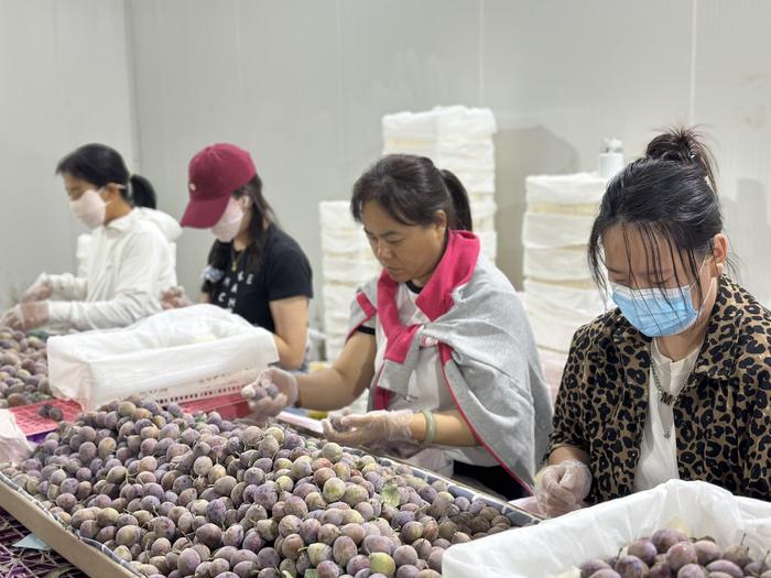2万月薪吃不起百果园?这些进口高端水果正在被国产平替掉