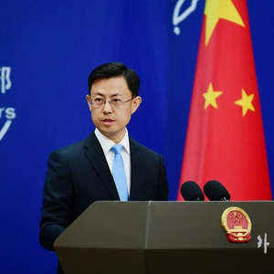 外交部部长和外交发言人 w300h300z1l10t10q100318.jpg