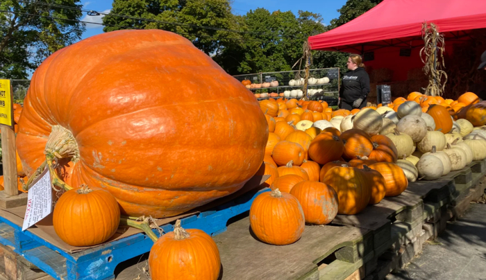 w700d1q75cms.jpg?by=cms_fixed_width