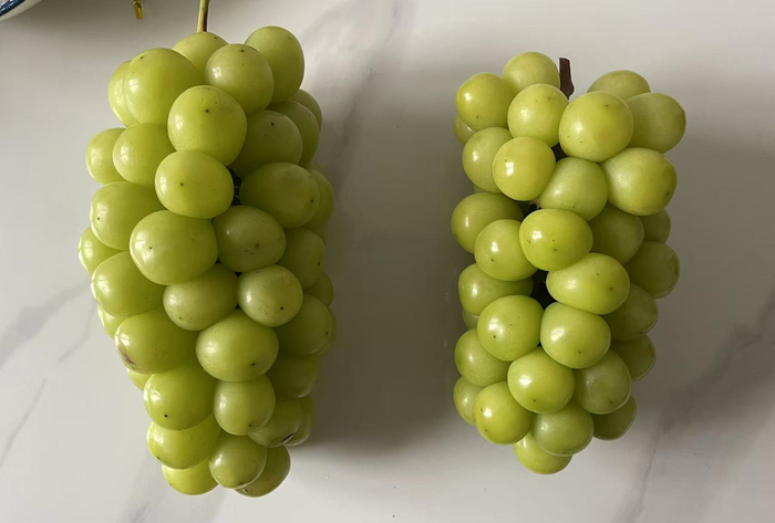 阳光玫瑰葡萄价格行情预测 w700d1q75cms.jpg?by=cms_fixed_width